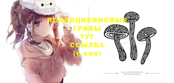 спиды Алексин