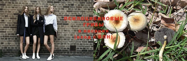 соль курить ск Алексеевка