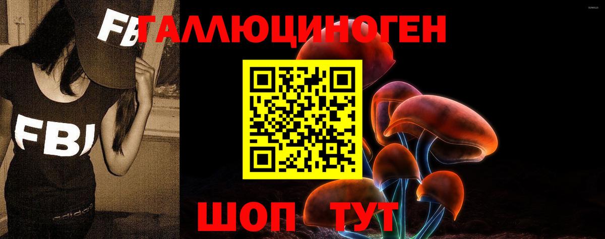 Псилоцибиновые грибы ЛСД  Вход с VPN  Железноводск 