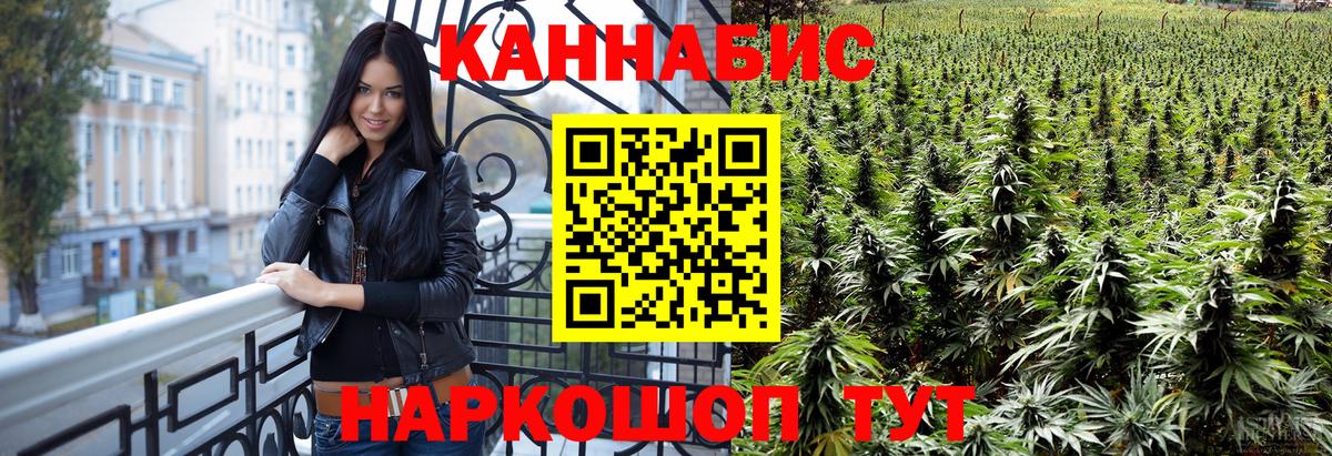 Бошки Шишки план Железноводск